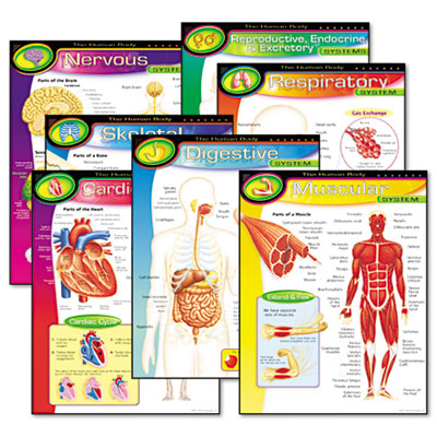 TREND T38913 Learning Chart Combo Pack