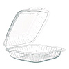 Plastic Hinged Containers