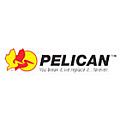 Pelican