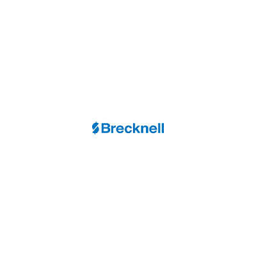 Brecknell Portable Electronic Utility Bench Scale, 250 lb Capacity, 12.5 x 10.95 x 2.2  Platform (GP250)