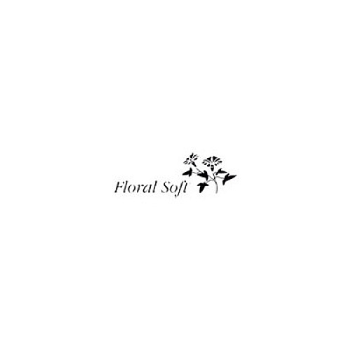 Floral Soft 2-Ply Standard Bathroom Tissue, Septic Safe, White, 400 Sheets/Roll, 48 Rolls/Carton (B448)