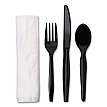 Disposable Utensils