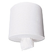<p><strong>Center-Pull Paper Towels</strong><br>Hygienic, controlled dispensing.</p>