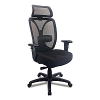 Tempur-Pedic by Raynor Computer and Desk Chair, Supports Up to 275 lb, Black (TP6450BLKMB)