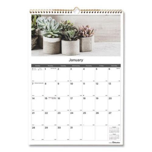 Blueline 12-Month Wall Calendar, Succulent Plants Photography, 12 x 17, White/Multicolor Sheets, 12-Month (Jan to Dec): 2023