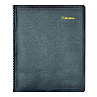 Blueline Plan and Link Weekly Appointment Planner, 11