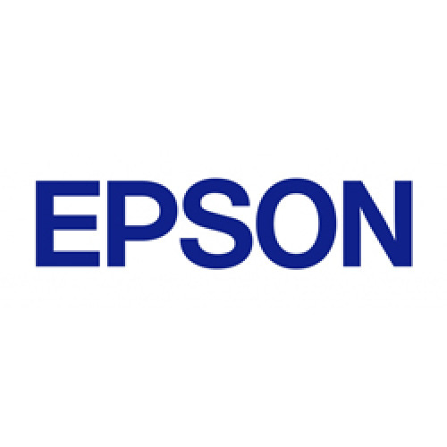 Epson T252120-BCS Ink Cartridges