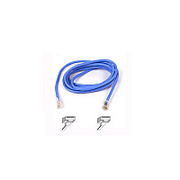 Belkin 2ft Cat5e Patch Cable Blue (A3L79102BLU)
