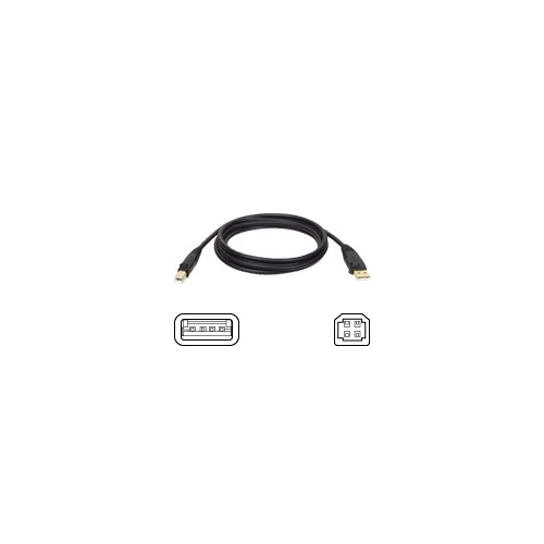 Tripp Lite 6ft Usb Cable Hi-speed Usb 2.0 A/b M/m (U022006)