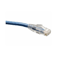 Tripp Lite 100ft Cat6 Solid Conductor Patch Cable (N202100BL)