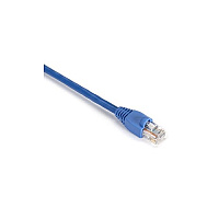 Black Box Cat5e 350-mhz Snagless Stranded Ethernet Patch Cable - Unshielded (utp), Cm Pvc (rj45 M/m), Blue, 100-ft. (30.4-m) (EVNSL810100)