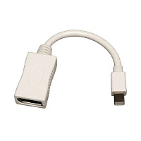 Tripp Lite 6in Mini Dp To Dp Adapter Mdp To Dp M/f (P13906NDP)