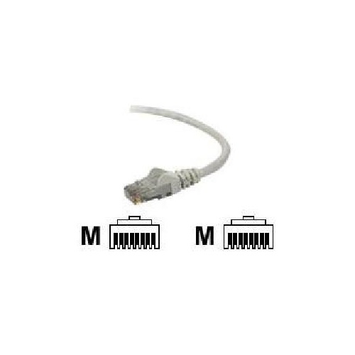Belkin Cable,cat6,utp,rj45m/m (TAA98050GRYS)