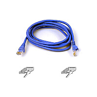 Belkin 2ft Cat6 Snagless Patch Cable Blue (A3L98002BLUS)