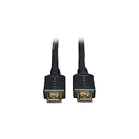 Tripp Lite 100ft Hdmi Cable Video/audio 1080p M/m (P568100)