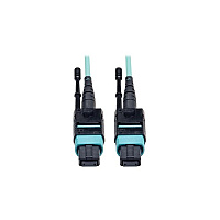 Tripp Lite 3m Mtp/mpo Mmf 12 Fiber Cable Om3 Plenum (N84403M12P)