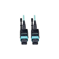 Tripp Lite 10m Mtp/mpo Mmf 12fiber Cable Om3 Plenum (N84410M12P)