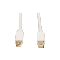 Tripp Lite 10ft Mini Displayport Cable Adapter M/m (P584010)