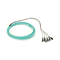 Black Box Om3 50-micron Multimode Fiber Optic Pigtail - 12-strand, Ofnr, Pvc, Lc, Aqua, 3-m (9.6-ft.) (FOPT50M3LC12AQ3)
