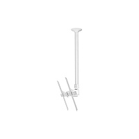 Atdec Ceiling Mount Up To 143lb, Long Pole (TH3070CTLW)
