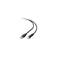 Belkin Cable,usb,dstp,usba/usbb,16 (F3U133B16)