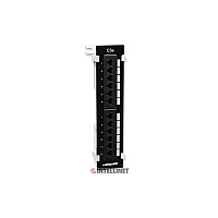 Intellinet Cat5e 12 Port Wall Mount Patch Panel (162470)