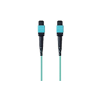 Belkin Mtp To Mtp Fiber Optic Cable; Mtp/mtp (F2CF0061M)