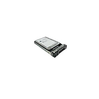 Axiom 1tb 6g Sata 7.2k Lff For Dell (AXDPE100072SF6)
