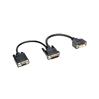 Tripp Lite 6in Dvi/vga Splitter Cable Digital M/fx2 (P56406NDV)