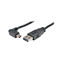 Tripp Lite 6ft Rev Usb Cable A/right Angle Mini-b (UR030006RAB)