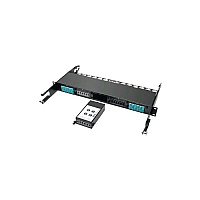 Tripp Lite 24-fiber Mtp/mpo To X6 12 Om4 Mtp/mpo (N4822M246M12)