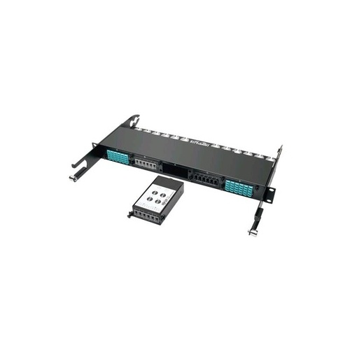 Tripp Lite 24-fiber Mtp/mpo To X6 12 Om4 Mtp/mpo (N4822M246M12)