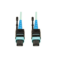 Tripp Lite 3m Mtp/mpo Om3 Fiber Cable Aqua Plenum (N84603M24P)