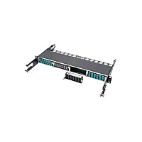 Tripp Lite 100/120gb Fiber Cassette X12 24 Mtp/mpo (N48412M24)
