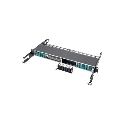 Tripp Lite 100/120gb Fiber Cassette X12 24 Mtp/mpo (N48412M24)