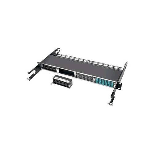 Tripp Lite Cat6a Pass-through Cassette - (x12) Rj45 (N48412RJ)