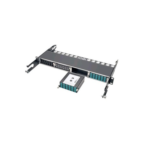 Tripp Lite Fiber Cassette 24 Om4 Mtp/mpo To X12 Lc (N4841M24LC12)
