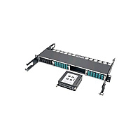 Tripp Lite Fiber Panel X2 24 Mtp/mpo X6 12- Mtp/mpo (N4842M246M12)