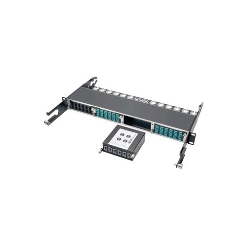 Tripp Lite Fiber Panel X2 24 Mtp/mpo X6 12- Mtp/mpo (N4842M246M12)