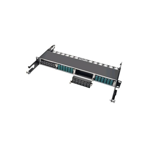 Tripp Lite 40gbe Fiber Cassette X12 Fiber Mtp/mpo (N48412M12)