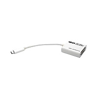 Tripp Lite Usb C To Dvi Adapter 1080p Usb Type C (U44406NDVIAM)
