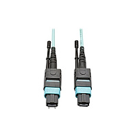 Tripp Lite 10m Mtp/mpo Mmf 12fiber Cable Om3 Plenum (N84210M12MF)