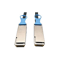 Tripp Lite 2m Dac Cable 100gbe Qsfp28 To Qsfp28 6ft (N28202M28BK)