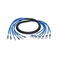 Tripp Lite 6ft Aug Cat6a Pre-term Trunk Bundle 6xmf (N2610066MFBL)