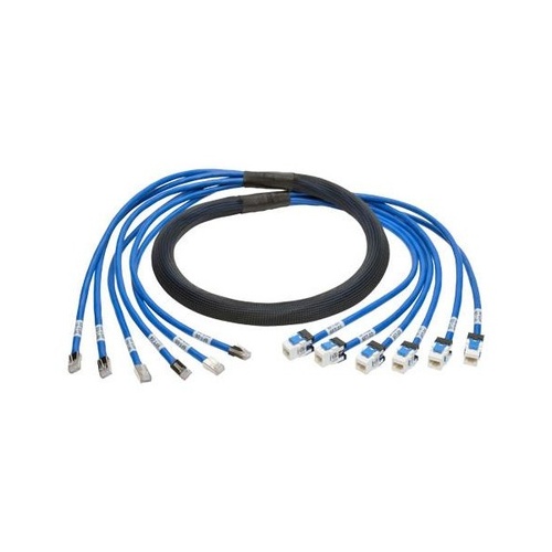 Tripp Lite 6ft Aug Cat6a Pre-term Trunk Bundle 6xmf (N2610066MFBL)