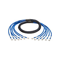 Tripp Lite 10ft Aug Cat6 Pre-term Trunk Bundle 6xmm (N2610106MMBL)