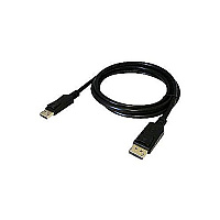 Total Micro Technologies Displayport To Displayport Adapter M/m (DPDP6TM)