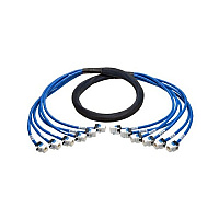 Tripp Lite 6ft Aug Cat6a Pre-term Trunk Bundle 6xff (N2610066FFBL)