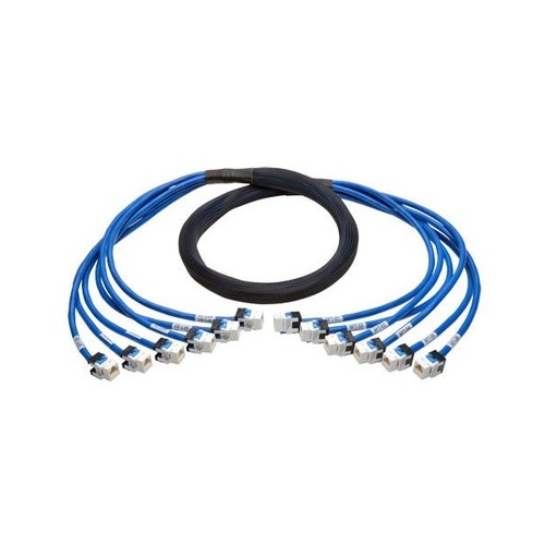 Tripp Lite 6ft Aug Cat6a Pre-term Trunk Bundle 6xff (N2610066FFBL)