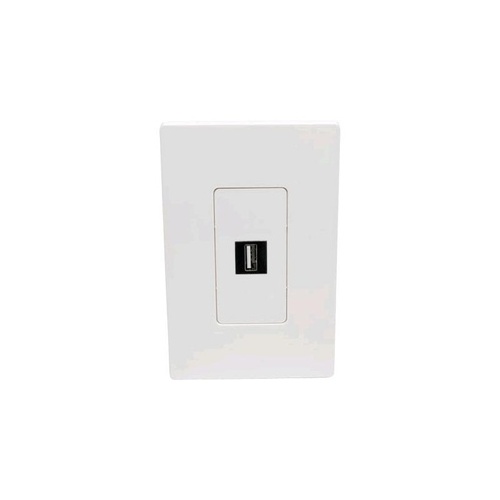 Tripp Lite 1-port Single-gang Keystone Wallplate (N080101)
